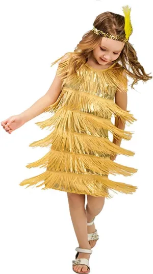 20s Flapper Dresses for Girls Salsa Latin Dance Dress 1920s Gatsby Tassel Fringe Flapper Dress   Feather Headband Dancewear